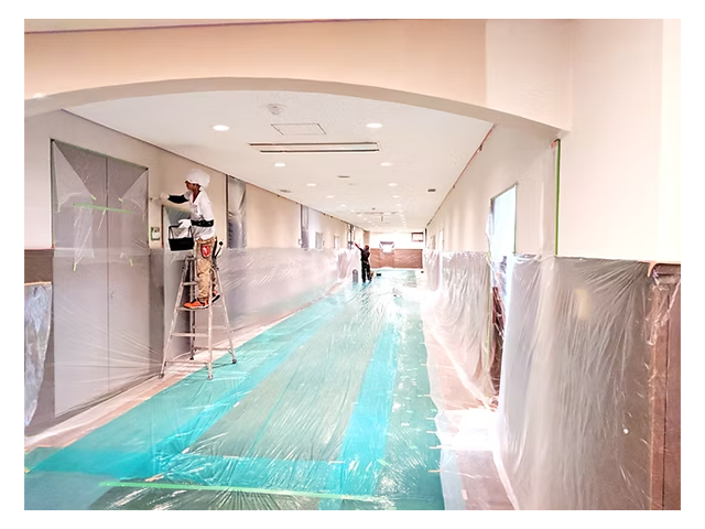 カビや虫を防ぎたい