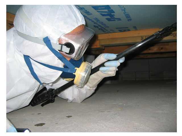 床下防カビ・防虫対策